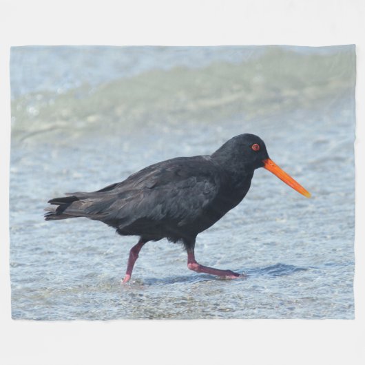 OYSTERCATCHER FLEECEDECKE (Vorderseite (Horizontal))