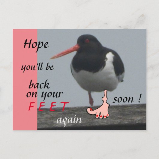 Oystercatcher Get Well bald Spaß Postcard Postkarte (Vorderseite)