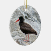 Oystercatcher Keramikornament (Rechts)