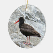 Oystercatcher Keramikornament (Links)