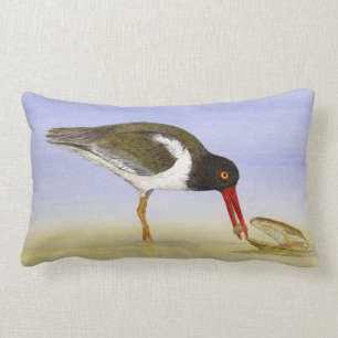 OYSTERCATCHER-KISSEN LENDENKISSEN