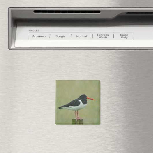Oystercatcher Magnet (In Situ (Geschirrspüler))