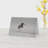 Oystercatcher-Merkkarte Karte (Gelbe Blume)