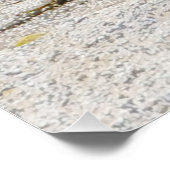 Oystercatcher Poster (Ecke)