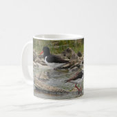 Oystercatcher-Tasse Kaffeetasse (Vorderseite Links)