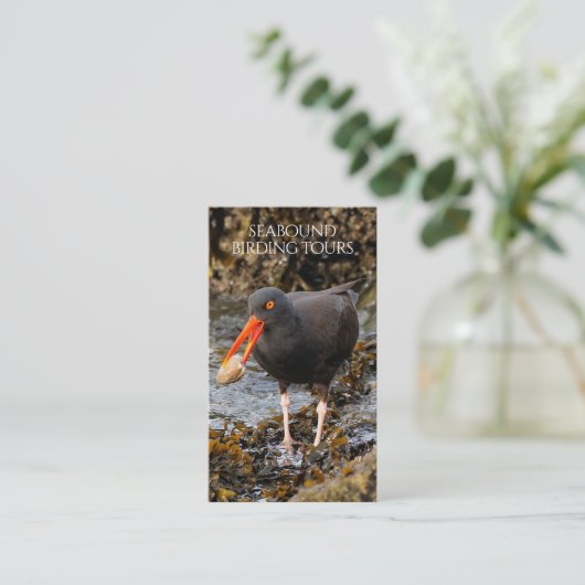 Oystercatcher-Vogelbeobachtung / Naturtouren Visitenkarte (Stehend Vorderseite)