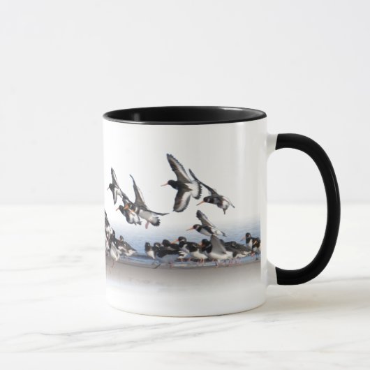 Oystercatchers Tasse füttern (Rechts)