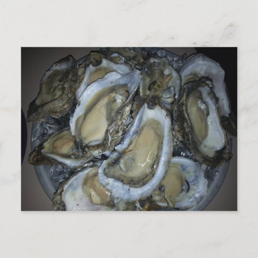 Oysters an der Golfküste Postkarte (Vorderseite)