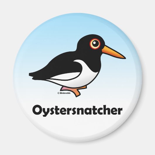 Oystersnatcher Magnet (Vorne)