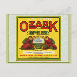 Ozark-Erdbeeren Postkarte
