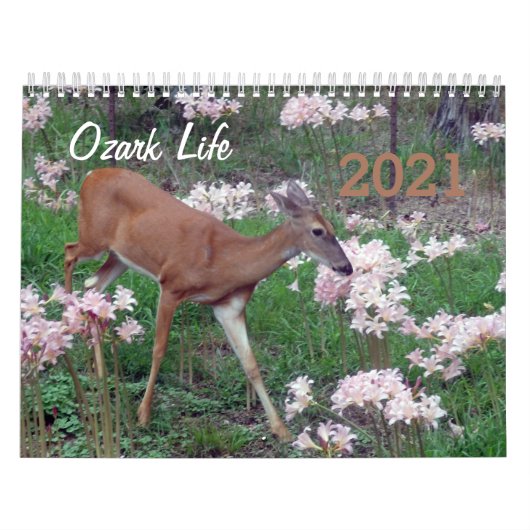 Ozark Life 2021 Kalender (Titelbild)