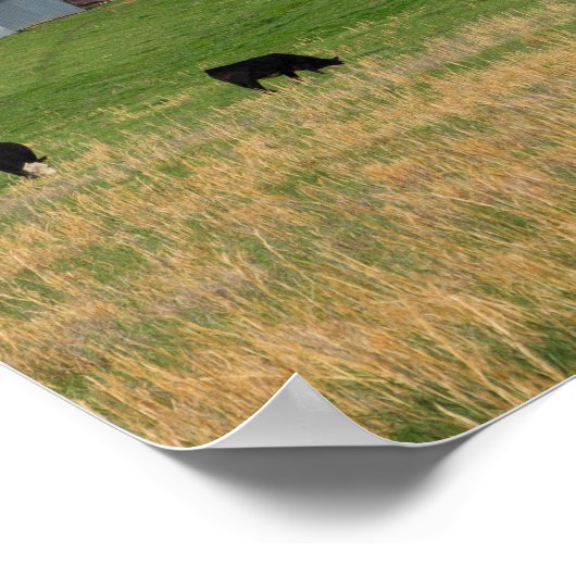 Ozark Old Farm Poster (Ecke)