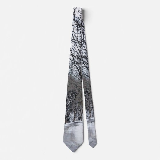 Ozark Snow Covered Road Painterly Neck Tie Krawatte (Vorderseite)