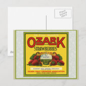 Ozark Strawberries Postkarte (Vorne/Hinten)