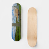 Ozarks Alter Stall und Silo Skateboard (Vorderseite)
