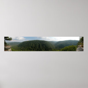 Ozarks, Arkansas panoramische 4 Poster