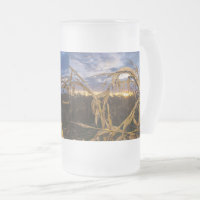 Ozarks ernten Mattierte Glasbäer Tasse