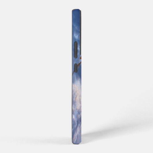 Ozarks Harvest Samsung Galaxy Case Samsung Galaxy Hülle (Rechte Seite)