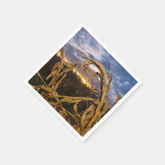 Ozarks Harvest Serviette (Ecke)