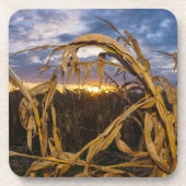 Ozarks Harvest Untersetzer (Vorderseite)