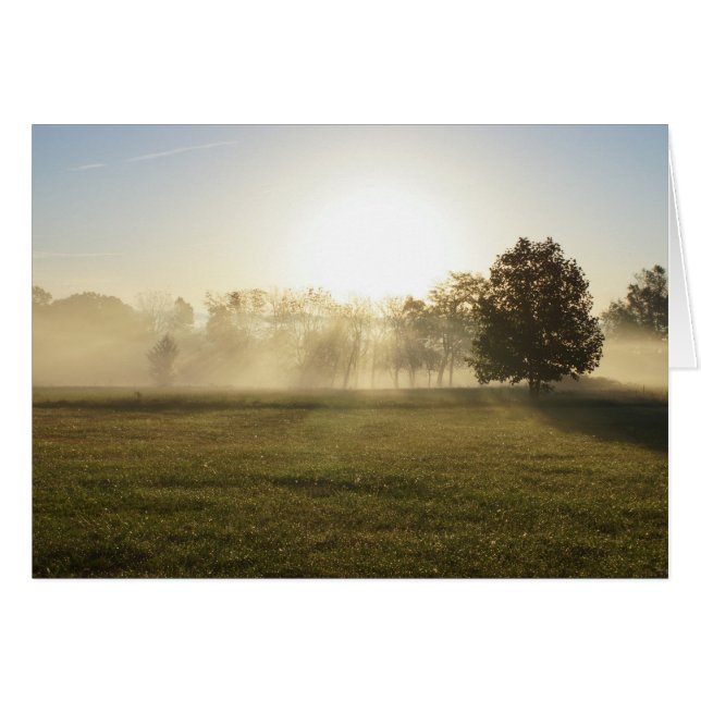 Ozarks Morning Fog (Vorderseite (Horizontal))