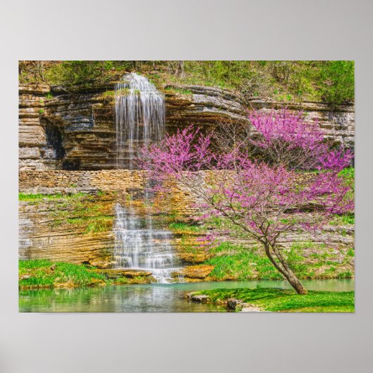 Ozarks Waterfall Spring Bluff Poster (Vorne)
