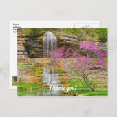 Ozarks Waterfall Spring Bluff Postkarte (Vorne/Hinten)