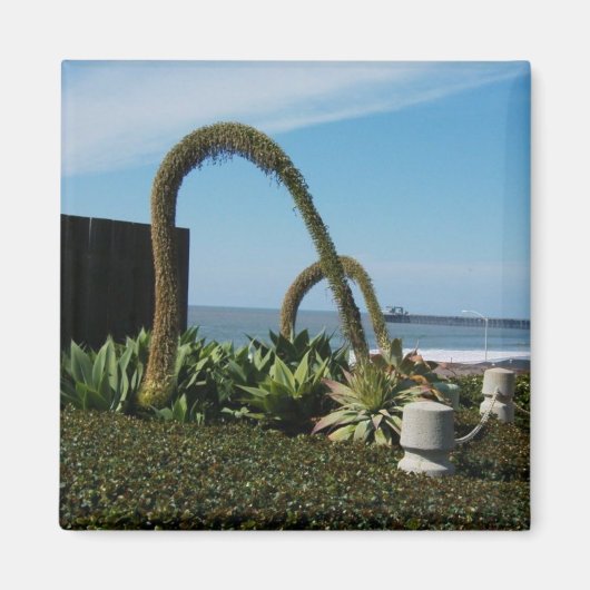 Ozean, Ca Magnet (Vorne)