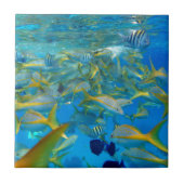 Ozean-Fische Fliese (Vorderseite)