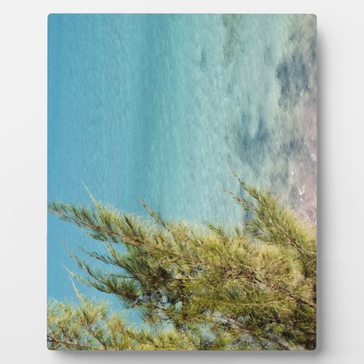 Ozean Fotoplatte (Vorderseite)