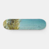 Ozean Skateboard (Horizontal)
