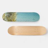Ozean Skateboard (Horizontal)