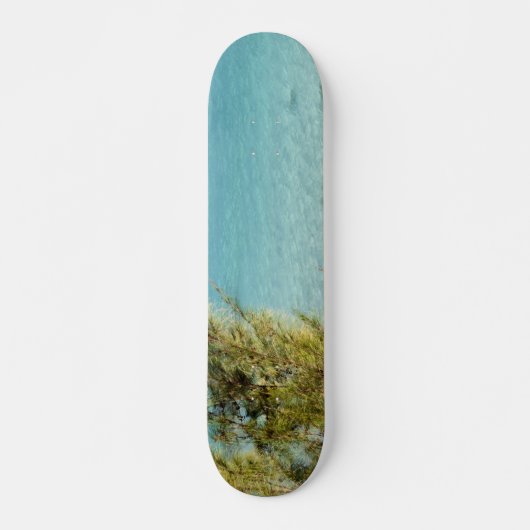 Ozean Skateboard (Vorne)