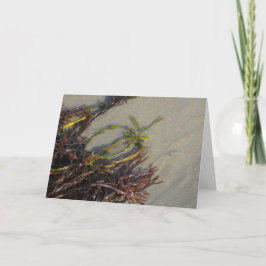 Ozean-Strand-Meerespflanze Karte