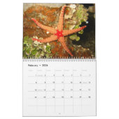 Ozean-Tier-Fotografie-Kalender Kalender (Feb 2026)