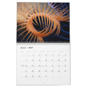 Ozean-Tier-Fotografie-Kalender Kalender (Mär 2027)