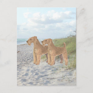 Ozeanblick Postkarte