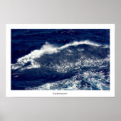 Ozeane 6314 poster (Vorne)