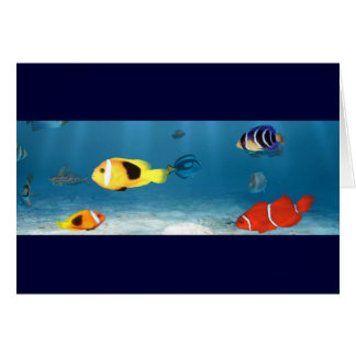 Ozeane der Fische