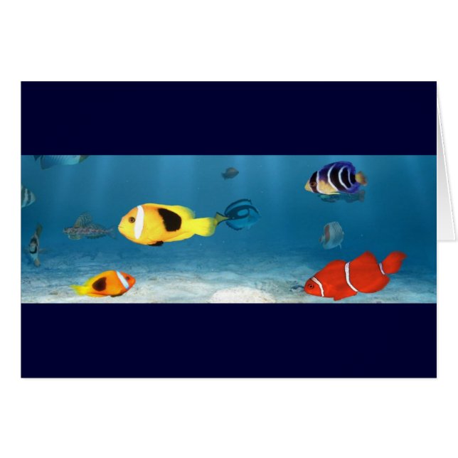 Ozeane der Fische (Vorderseite (Horizontal))