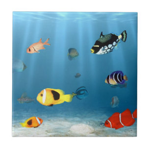 Ozeane der Fische Fliese