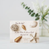 Ozeanflüster - elegante Muscheln Save the Date Ankündigungspostkarte (Stehend Vorderseite)