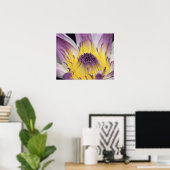 Ozeanien, Fidschi, Lila Panama Pacifica, Nymphea Poster (Heimbüro)