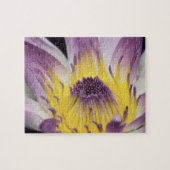 Ozeanien, Fidschi, Lila Panama Pacifica, Nymphea Puzzle (Horizontal)