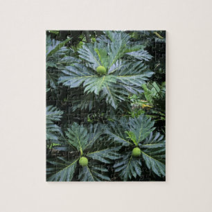 Ozeanien, Südpazifik, Französisch-Polynesien, Puzzle