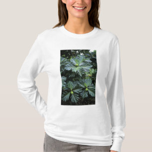 Ozeanien, Südpazifik, Französisch-Polynesien, T-Shirt
