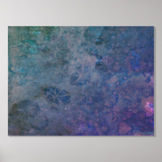 Ozeankreaturen II Silberfolie drucken Foliendrucke