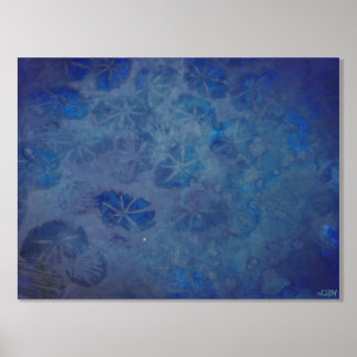 Ozeankreaturen - Silberstreifen Foliendrucke