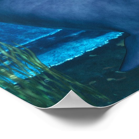 Ozeanlächeln Poster (Ecke)