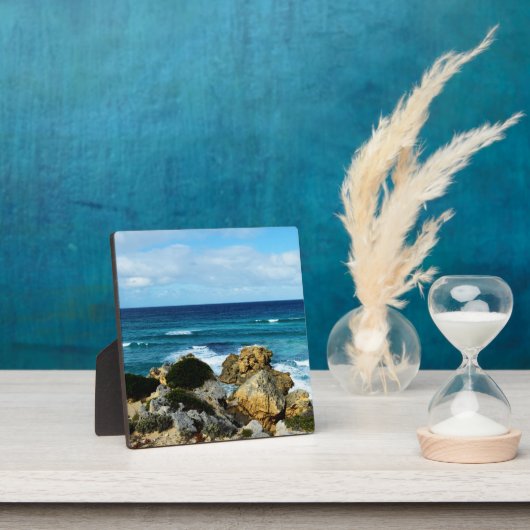 Ozeanschlag, Fotoplatte (InSitu)